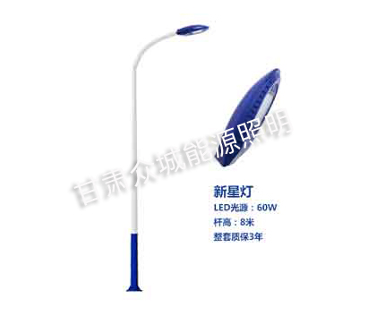 新源爆款市电路灯